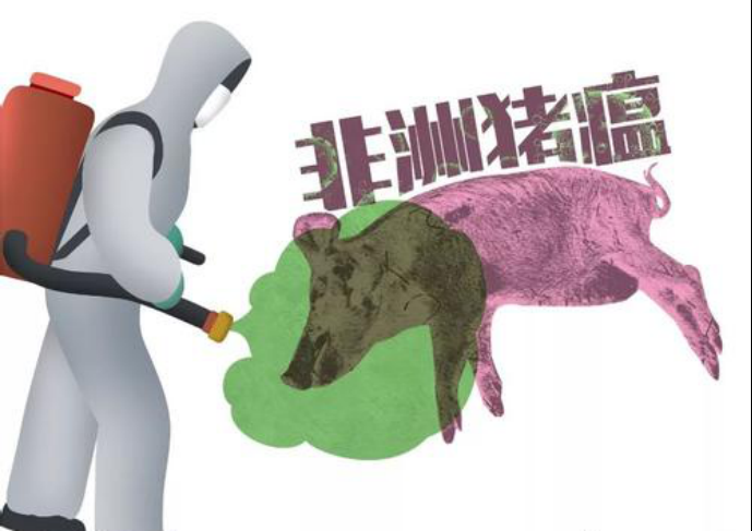 6月份最新一周国际动物疫情动态（非洲猪瘟）