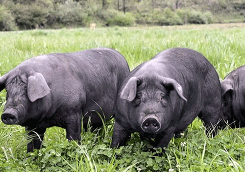 1764923429374843.png 001.png