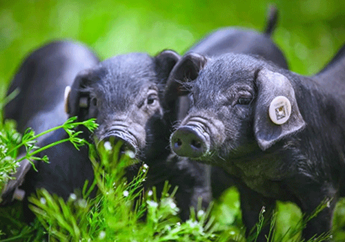 1764923441869526.png 002.png