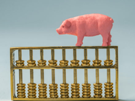 猪价 5 连涨！北方猪病突袭，母猪淘汰加速，养殖户机遇风险双预警