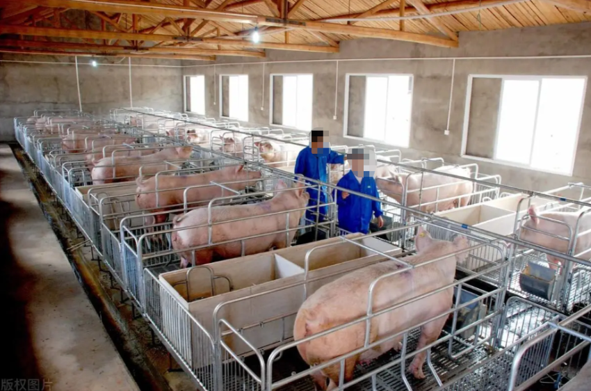 1766038102120551.png ScreenShot_2025-12-18_134117_809.png