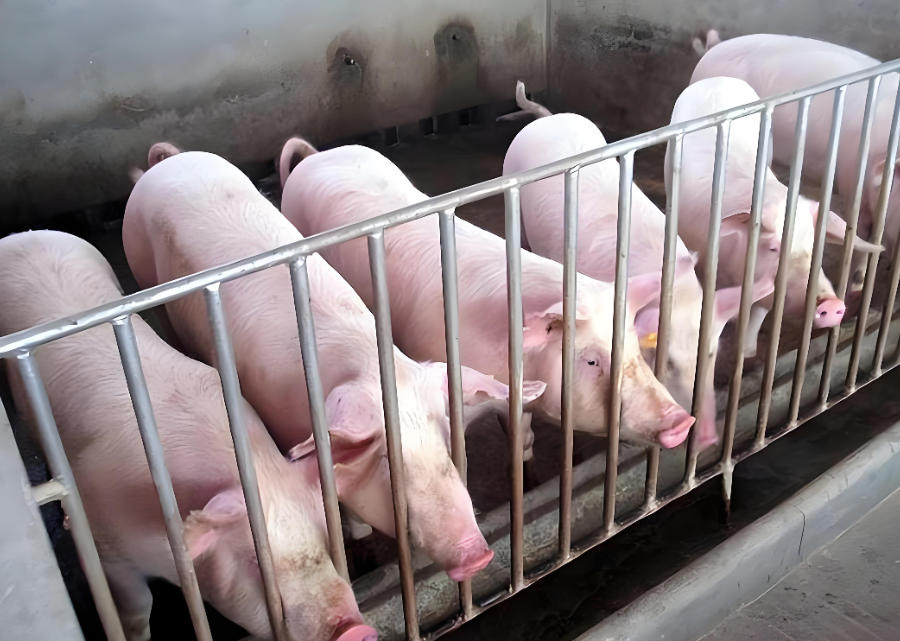 1766974672293892.jpg ScreenShot_2025-12-29_095034_321.jpg