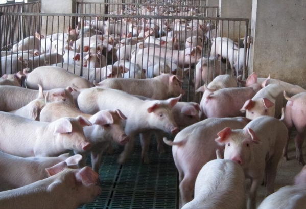 1768460037525638.png ScreenShot_2025-12-19_101554_492.png