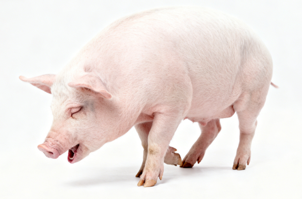 1772696334176485.png ScreenShot_2025-11-28_163515_642.png