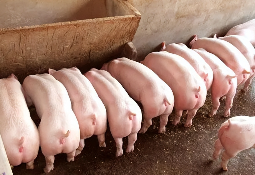 1775719129384041.png ScreenShot_2026-04-09_141724_333.png