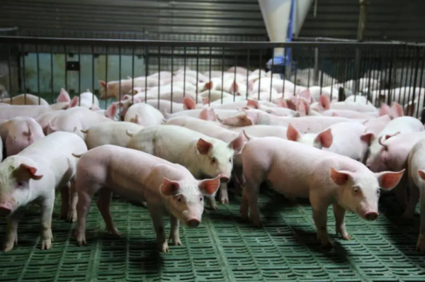 1775812181269874.png 51 (2).png